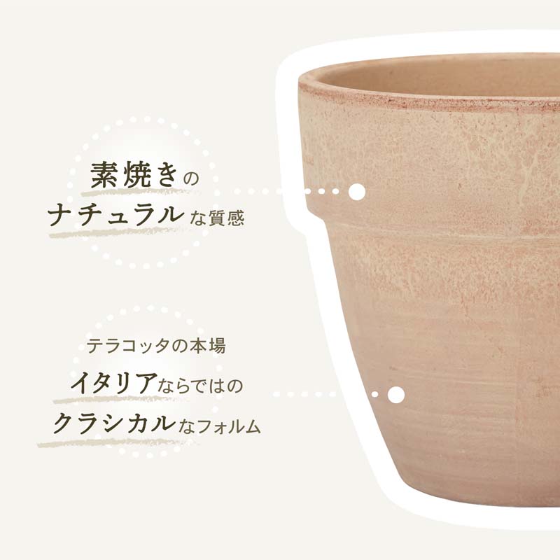 植木鉢 テラコッタ パラディオ アリーナ 8号 関連画像3