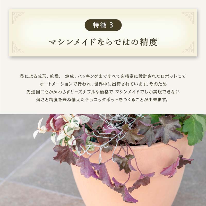 植木鉢 テラコッタ パラディオ アリーナ 8号 関連画像5