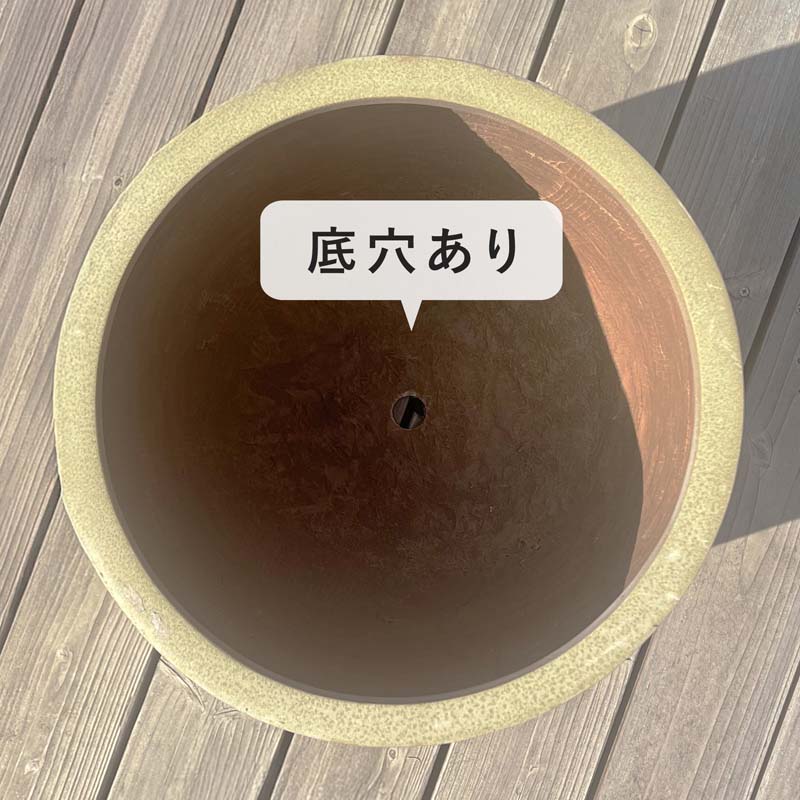 植木鉢 大型プランター マグナム カラーズ ユーポット L 55 : 植木鉢