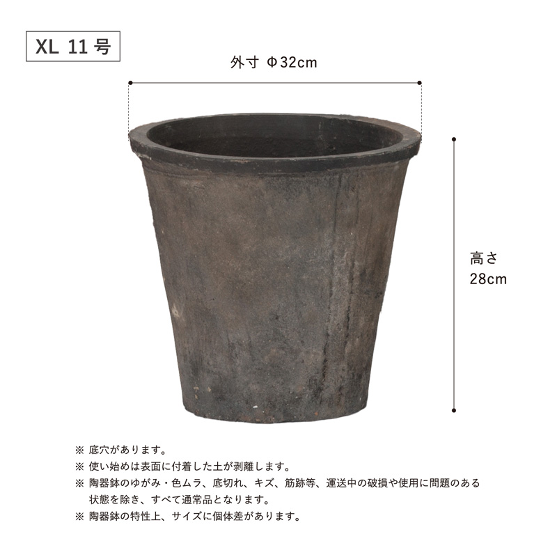 プルメリア 鉢（園芸用品） | 花、ガーデニング のおすすめ人気商品