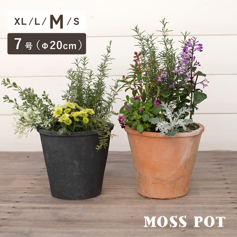 植木鉢 陶器鉢 モスポット 407M 7号 : 植木鉢・テラコッタ専門店バージ
