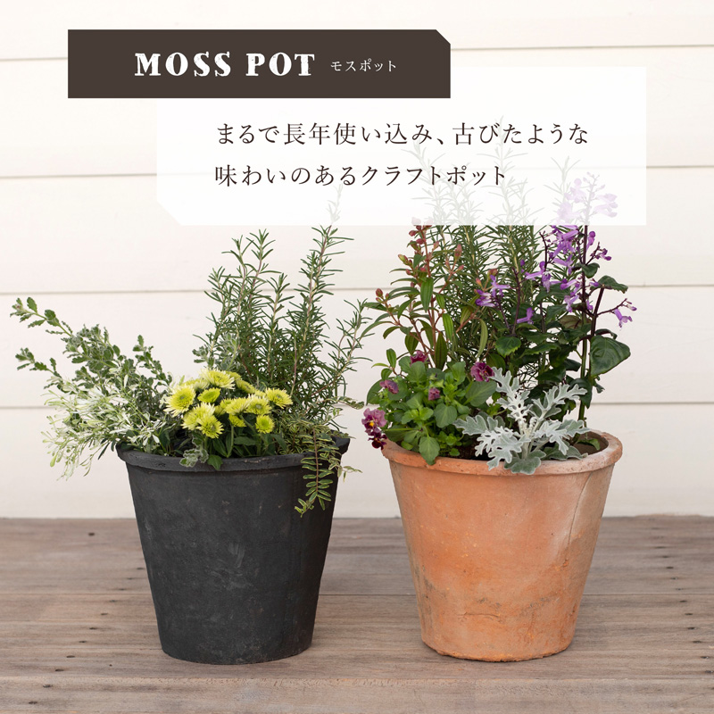 植木鉢 陶器鉢 モスポット 408L 8号 : 植木鉢・テラコッタ専門店バージ