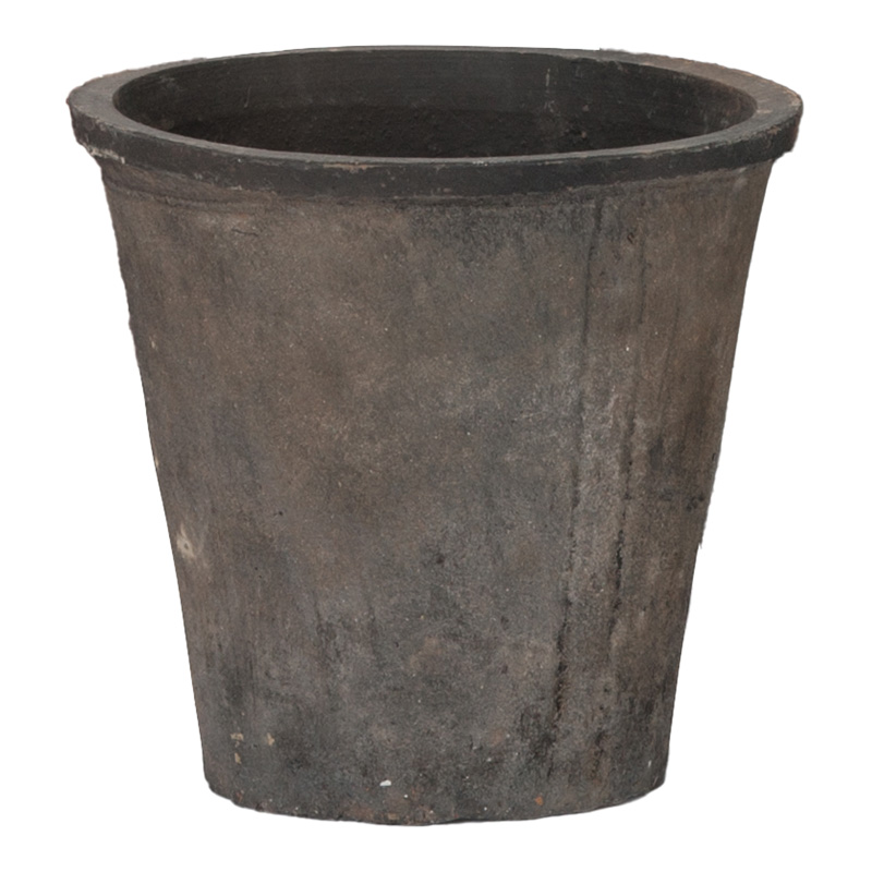 雲龍梅　古木　７号ポットつき　特大❗ 雲龍梅 古木 7号ポットつき 特大❗ 明日からの3連休は 屈指のパンジー