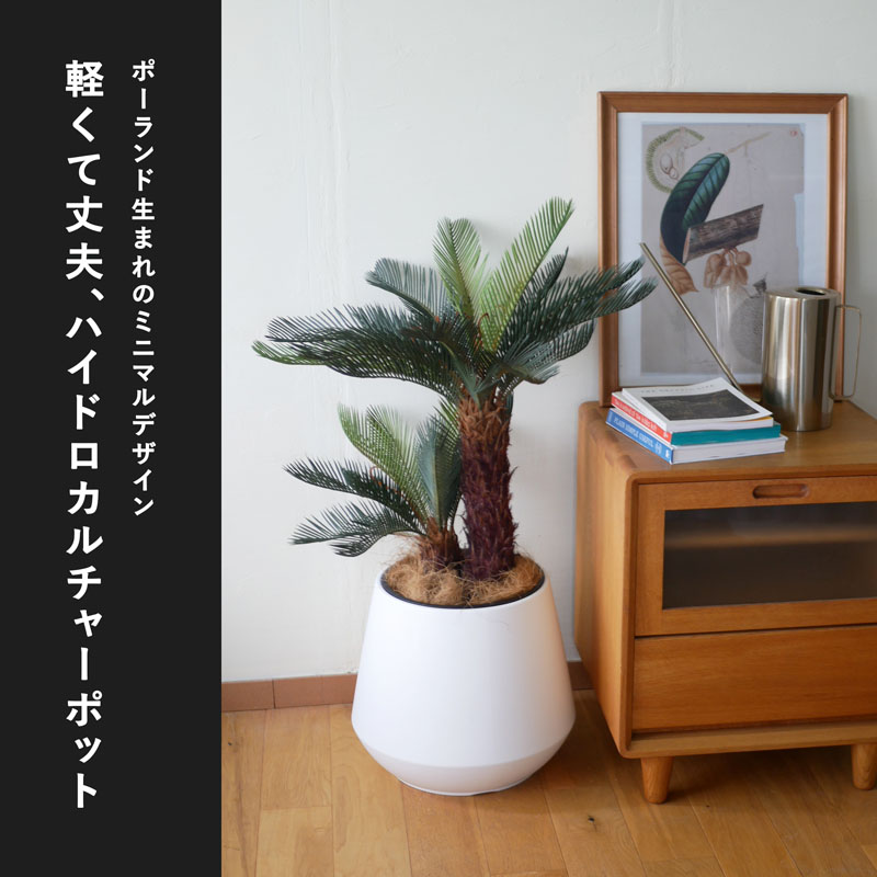 ドイツ製ガーデニング 陶器 ハイドロカルチャー 噴水 流水 テラリウム