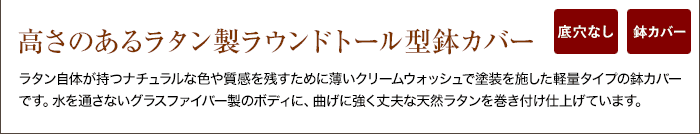 マラカ クリームウォッシュ TL 100 鉢、プランター