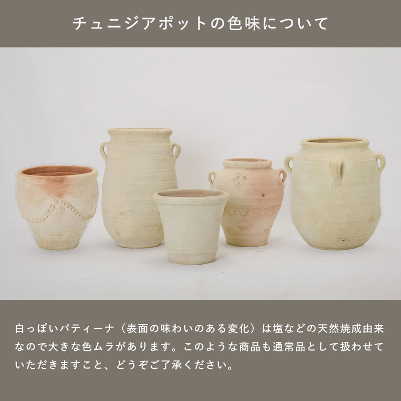 植木鉢　テラコッタ　チュニジア ポット　トールアンフォラ L13号_5