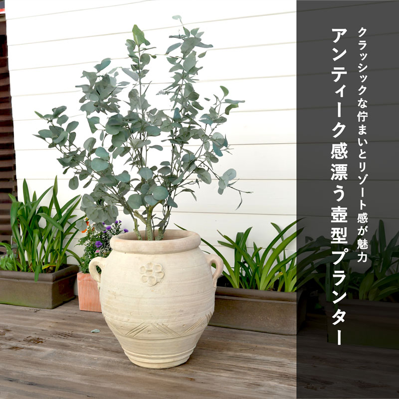 植木鉢（鉢号数：16〜20号）｜鉢、プランター｜園芸用品｜花