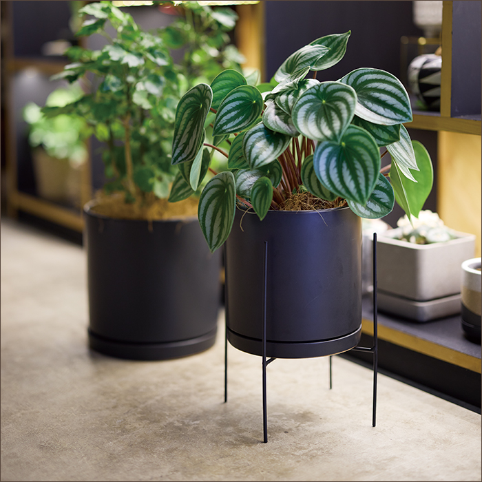 植木鉢 陶器鉢 ルッカ CR1 白黒マット XXS3.5号の説明 - 通販 - Yahoo