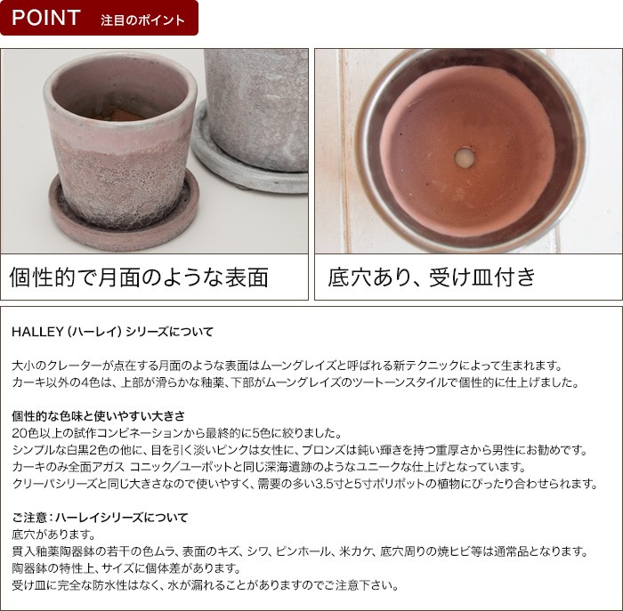 植木鉢 陶器鉢 リジュー ハーレイ 4号 受け皿付き :HL-001-12P:植木鉢 ...