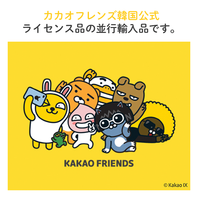 ペンケース カカオフレンズ ミニ ペンケース kakao ryan apeach muzi tube frodo 6種類 韓国製  カカオフレンズ韓国公式ライセンス品の並行輸入品 送料無料