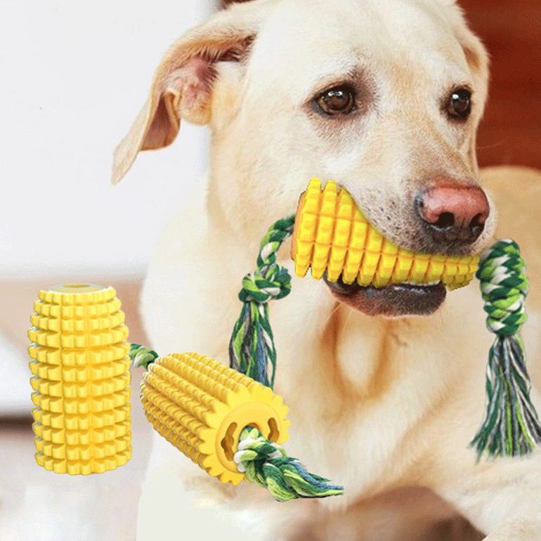 犬に噛まれてボロボロで原型止めてません