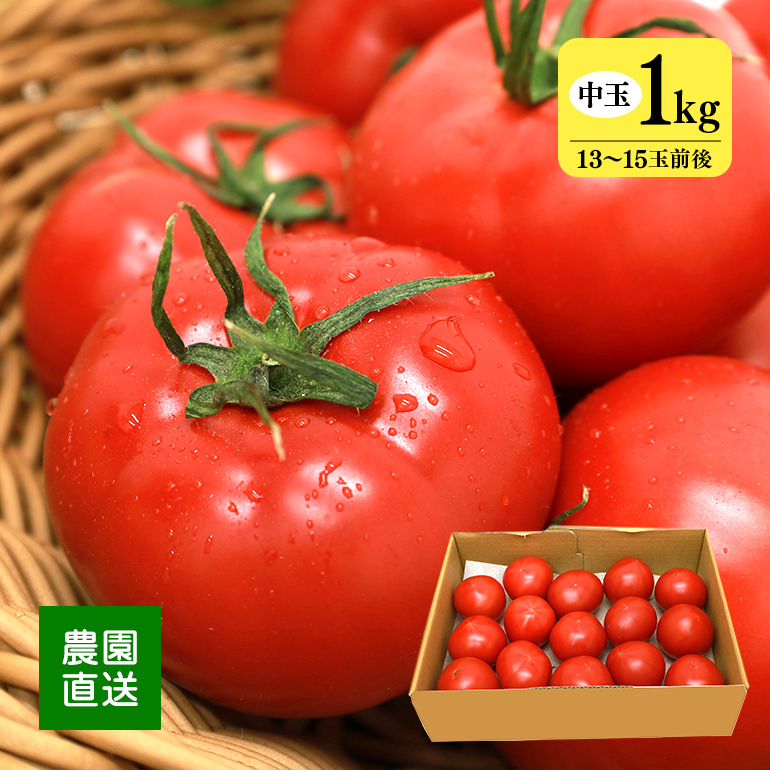 トマト フルーツトマト 産地直送 千葉県産 お取り寄せ タイヨウのトマトべにすずめパック 300g