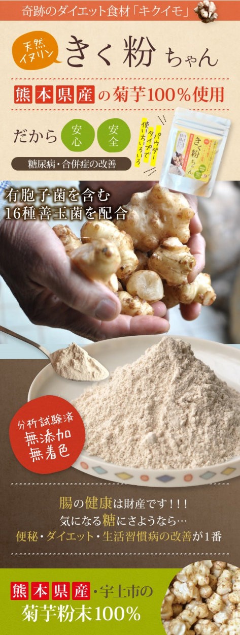 菊芋 粉末 熊本県産 パウダー 100ｇ きく粉ちゃん シンバイオティクス食品 :kikukochan4:菊芋専門店バーニーバーニー - 通販 -  Yahoo!ショッピング