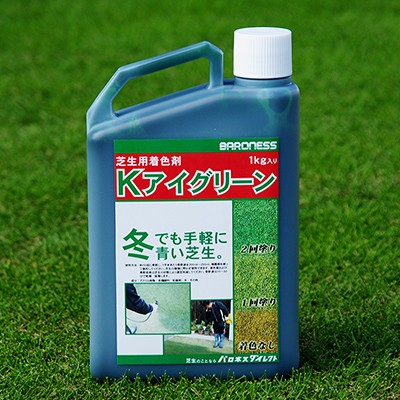 冬も簡単に青い芝生に！　あなたのお庭がコレ1本で変わります。ゴルフ場でも使用の芝生専用着色剤Ｋアイグリーン茶色になった芝生を簡単に美しい緑色に変身させます。自然な色相で着色の違和感がなく、日本芝、西洋芝を問わず、年間を通じてご使用いただけます。