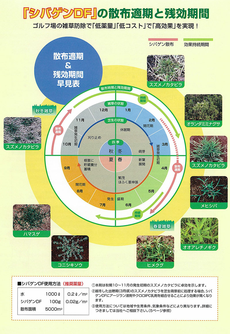 除草剤 芝生 シバゲンDF 20g 高麗芝 野芝 バミューダグラス メール便