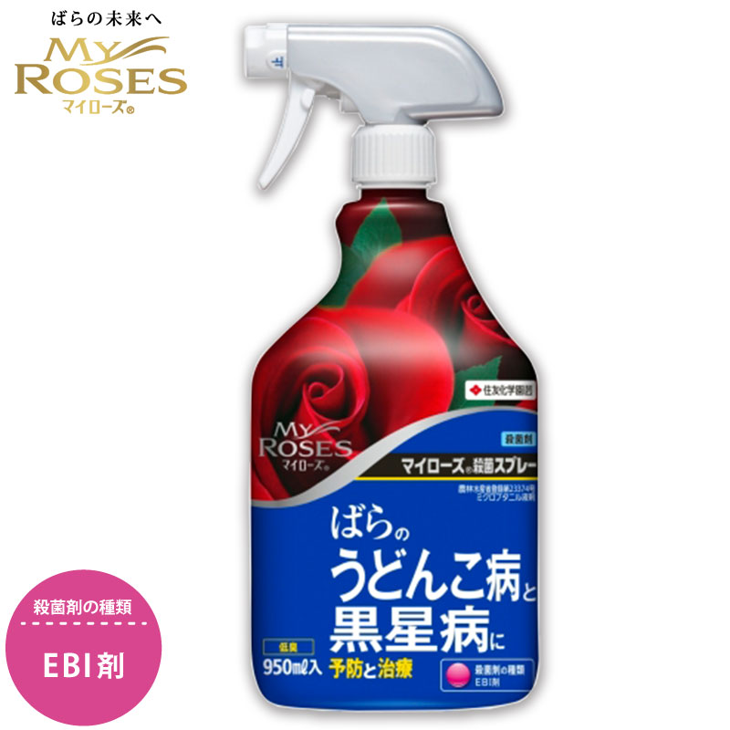 KINCHO園芸 住友化学園芸 殺菌剤 マイローズ 殺菌スプレー 950ml 園芸