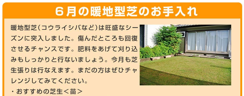 だれでも簡単 芝生のお手入れ ６月 芝生のことならバロネスダイレクト 通販 Yahoo ショッピング