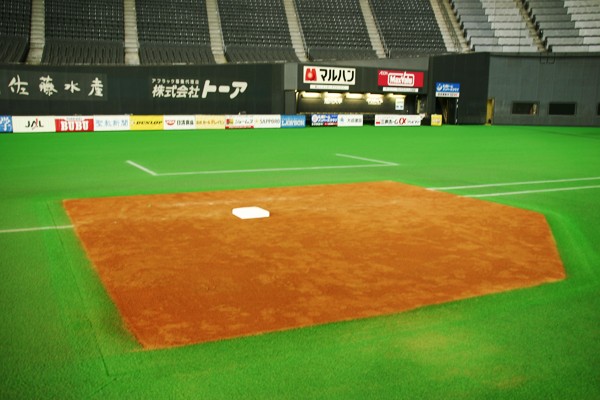 夢と感動の札幌ドームを探検しよう 野球場を探検しよう 芝生のことならバロネスダイレクト 通販 Yahoo ショッピング