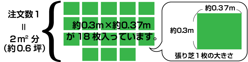 産地直送 鳥取産 ＴＭ９ ティーエムナイン 登録品種 ２平米 0.6坪分