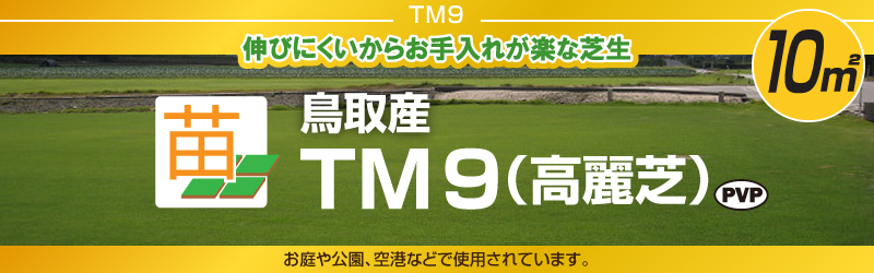 産地直送 置き配不可 鳥取産 ＴＭ９ ティーエムナイン 登録品種 10平米 ３坪分 張り芝用 プレミアム苗 暖地型 省管理型 天然芝 : tm9-10  : 芝生のことならバロネスダイレクト - 通販 - Yahoo!ショッピング