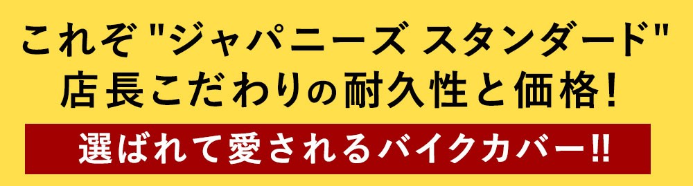 最大67％オフ！ Barrichello バリチェロ インナー 屋内専用バイク