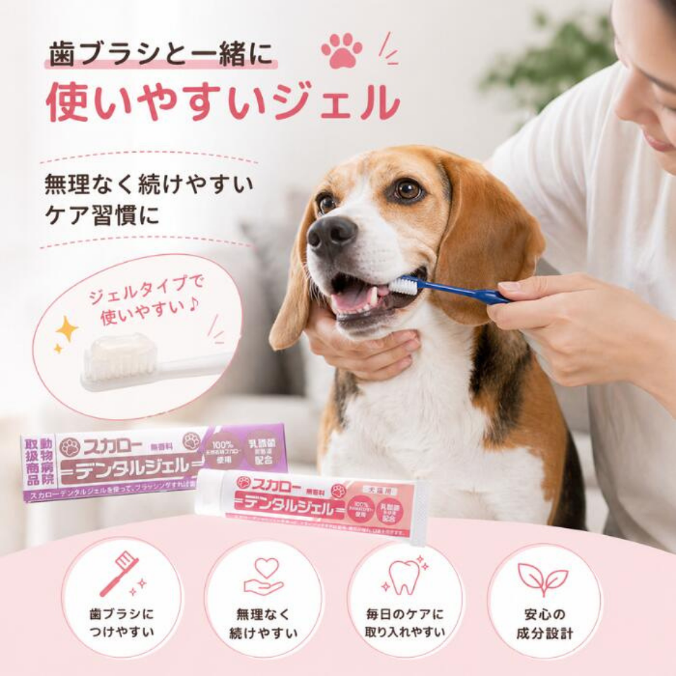 スカローデンタルジェル 犬用 猫用 無香料 40g 山一化学 ペット用