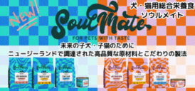 EnjoyPet - Yahoo!ショッピング