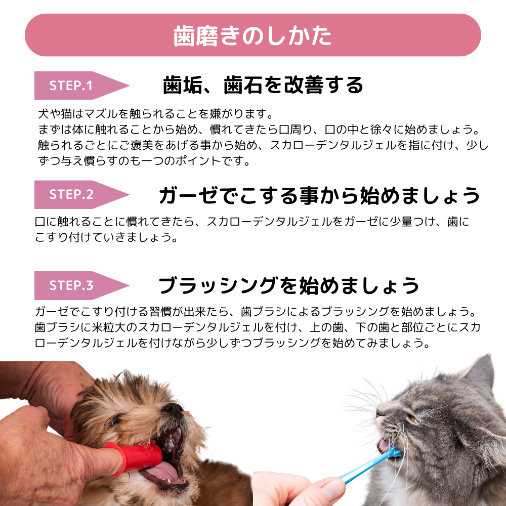 スカローデンタルジェル 40g×1箱 ぴたポイ 1シート（30枚入） 歯磨き