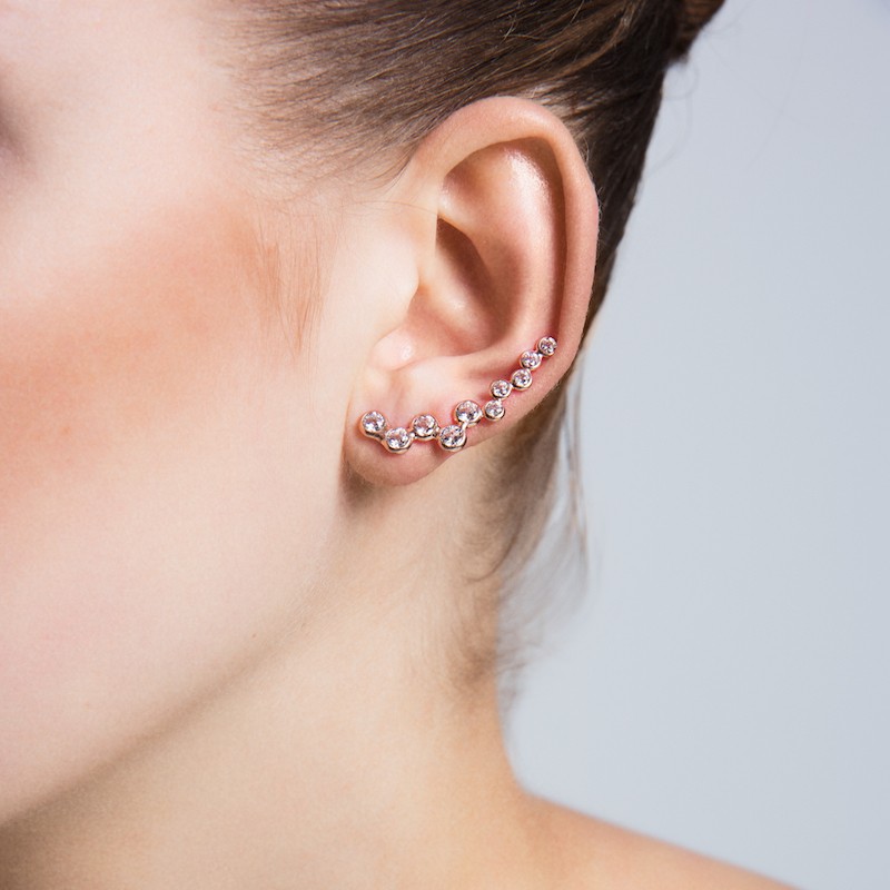 Leaf Cubic zirconia イヤークライマー ピアス Leaf Cubic zirconia イヤークライマー ピアス (ピアス