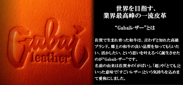 がばいレザー THANK 硬式 オーダー グラブ グローブ 佐賀牛