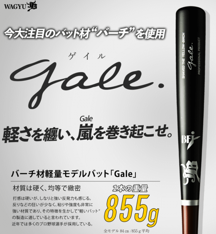 JB ジェイビー 硬式バット 木製バット ゲイル Gale バーチ材軽量モデル
