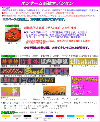 ハタケヤマ 硬式キャッチャーミット PBW-M19eb 甲斐拓也型 PBW