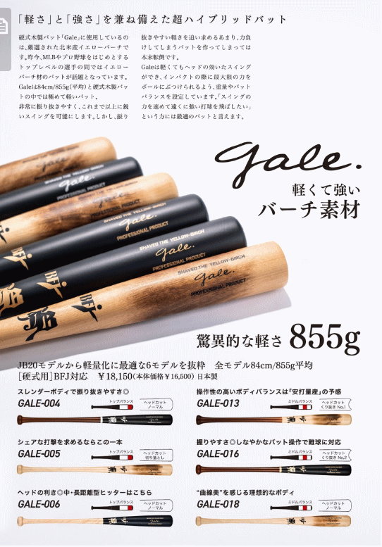 JB ジェイビー 硬式バット 木製バット ゲイル Gale バーチ材軽量モデル