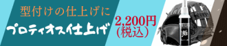 プロティオス仕上げ