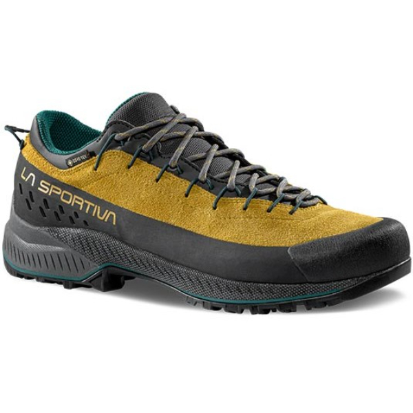 LA SPORTIVA（スポルティバ） TX4 EVO GTX (37D) ／ アプローチ