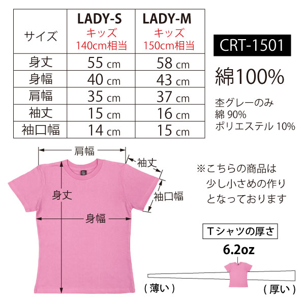 特別限定の-2枚セット Tシャツ レディース キッズ 小さめ トップス