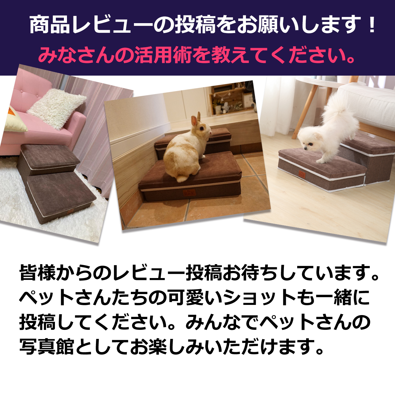 RK ドッグステップ ペットステップ 2段 タイプ　収納 折りたたみ コンパクト 軽量 犬用階段 幅広 幅40cm 奥行48cm 踏み台 階段 折り畳み 小型 シニア 分離可能｜batteryginnkouhkr｜12