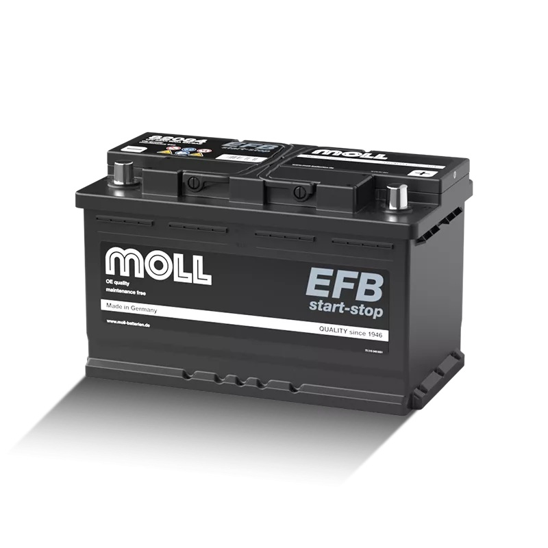 メル　2点セット MOLL（モル） EFB LN5 94Ah 860CCA MOLL 82094 バッテリー