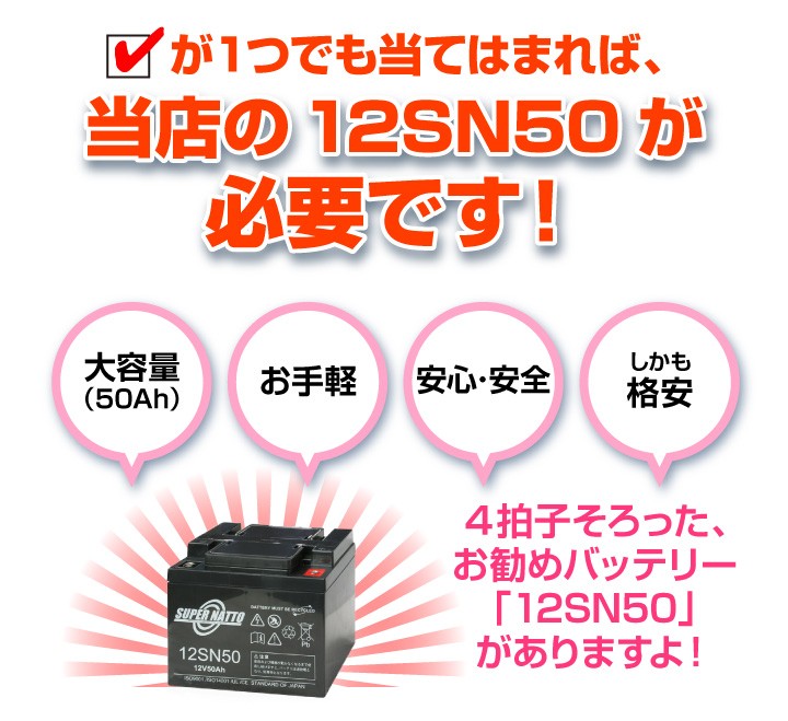 おすすめバッテリー12SN50
