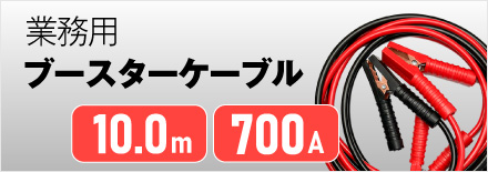 ケーブル10.0m