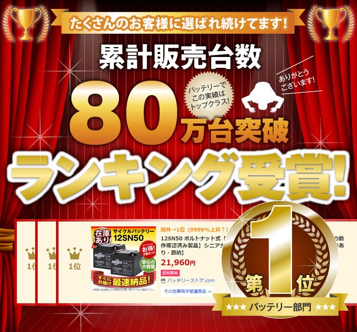低価日本製 その他車椅子間連商品 12SN50 ボルトナット式 お得 2個セット 純正品と完全互換 安心の動作確認済み製品 シニアカー、セニアカーに対応 在庫あり・即納 バッテリーストア.com - 通販 - PayPayモ 格安大特価