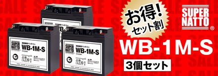 その他溶接機 WB-1M-S 新品(WB-1Mに互換) スーパーナット その他溶接機 WB-1M-S 新品(WB-1Mに互換) スーパーナット