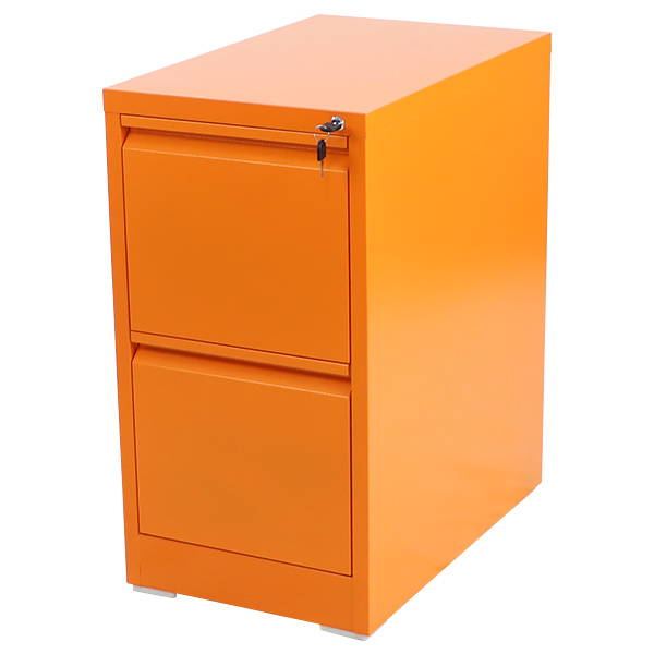 スチールキャビネット ファイリングキャビネット 2段 完成品 A4 選べる