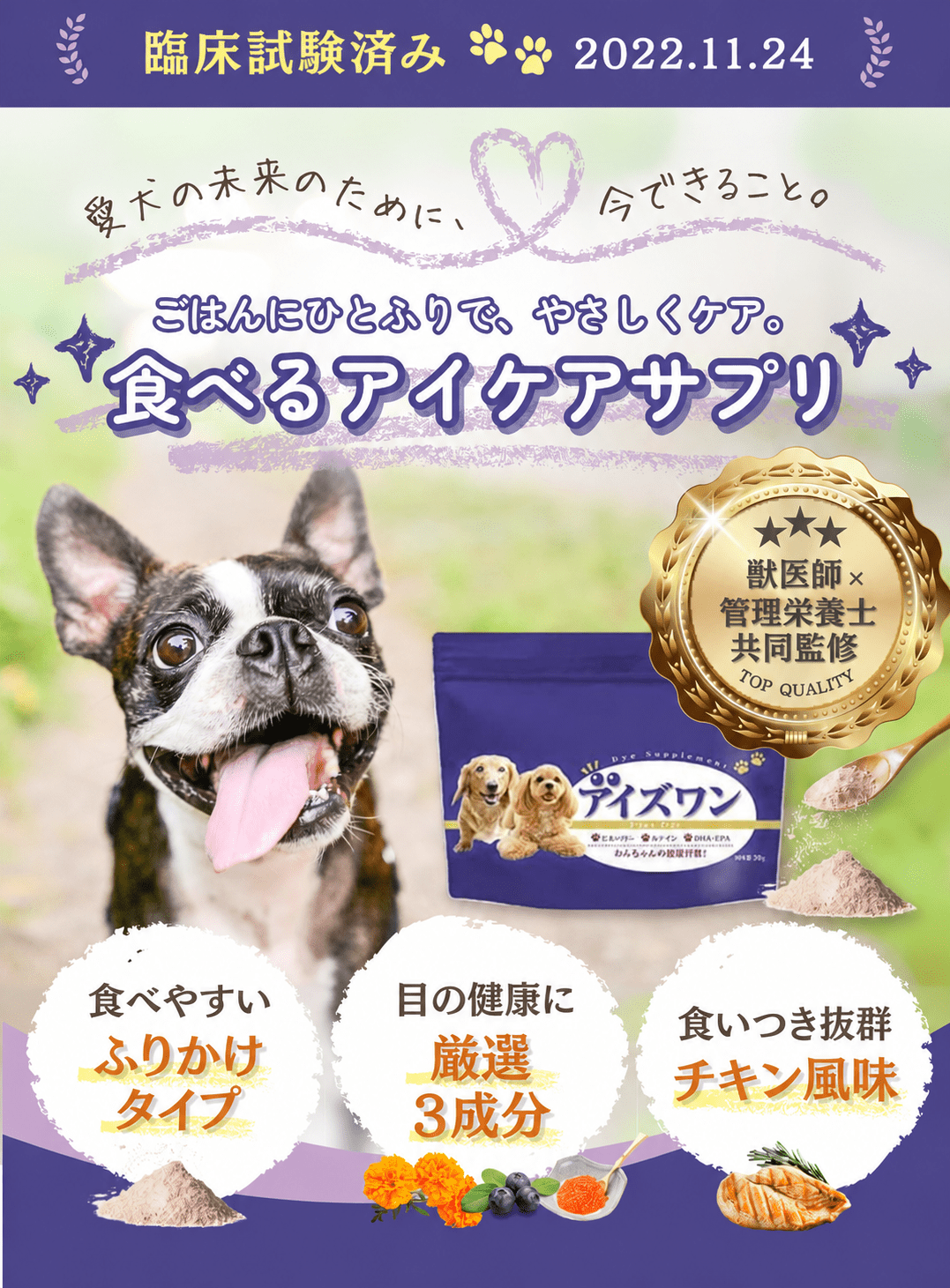 犬 白内障 サプリ ルテイン 目 サプリメント アントシアニン