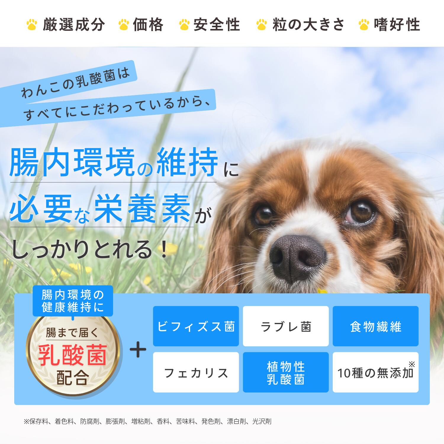 わんこの乳酸菌は腸内環境の維持に必要な栄養素がしっかりとれます