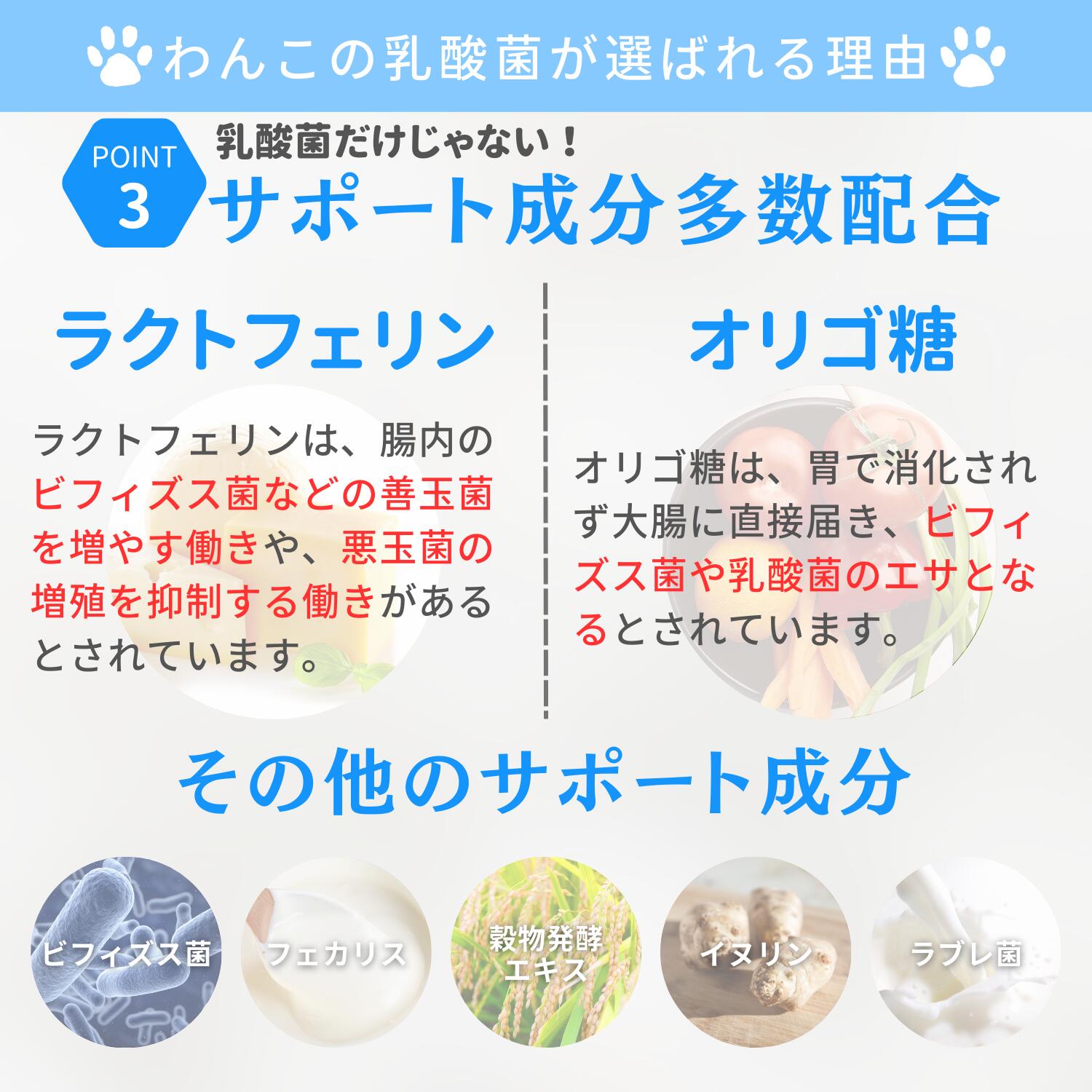 ラクトフェリンやオリゴ糖などサポート成分を多数配合