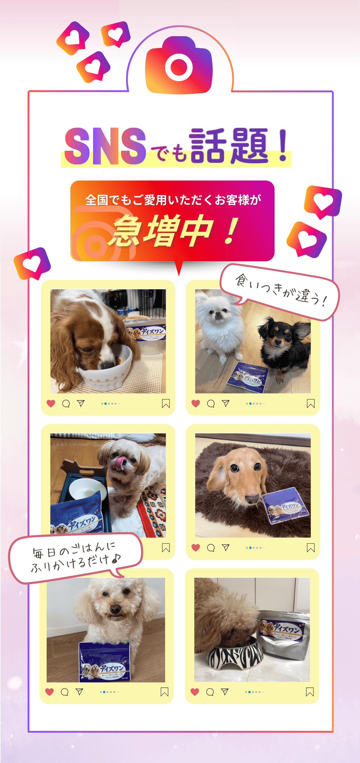 犬 白内障 サプリ ルテイン 目 サプリメント アントシアニン