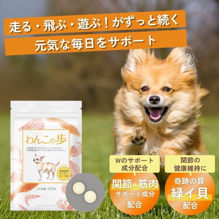 犬 サプリ 胃腸 免疫 腸内環境 酵母 ビオワンファイン グルコサミン