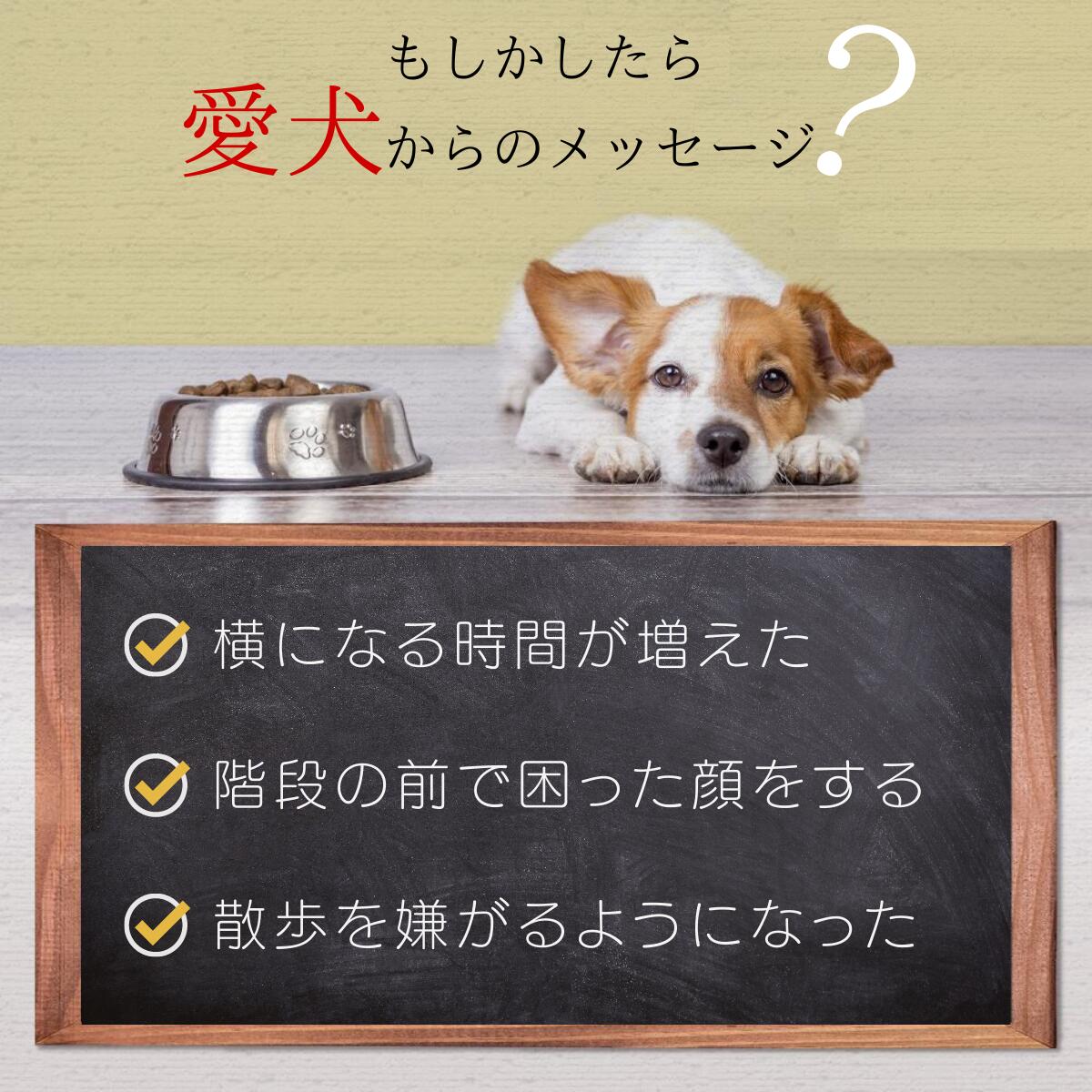 愛犬の関節の悩みはありませんか？