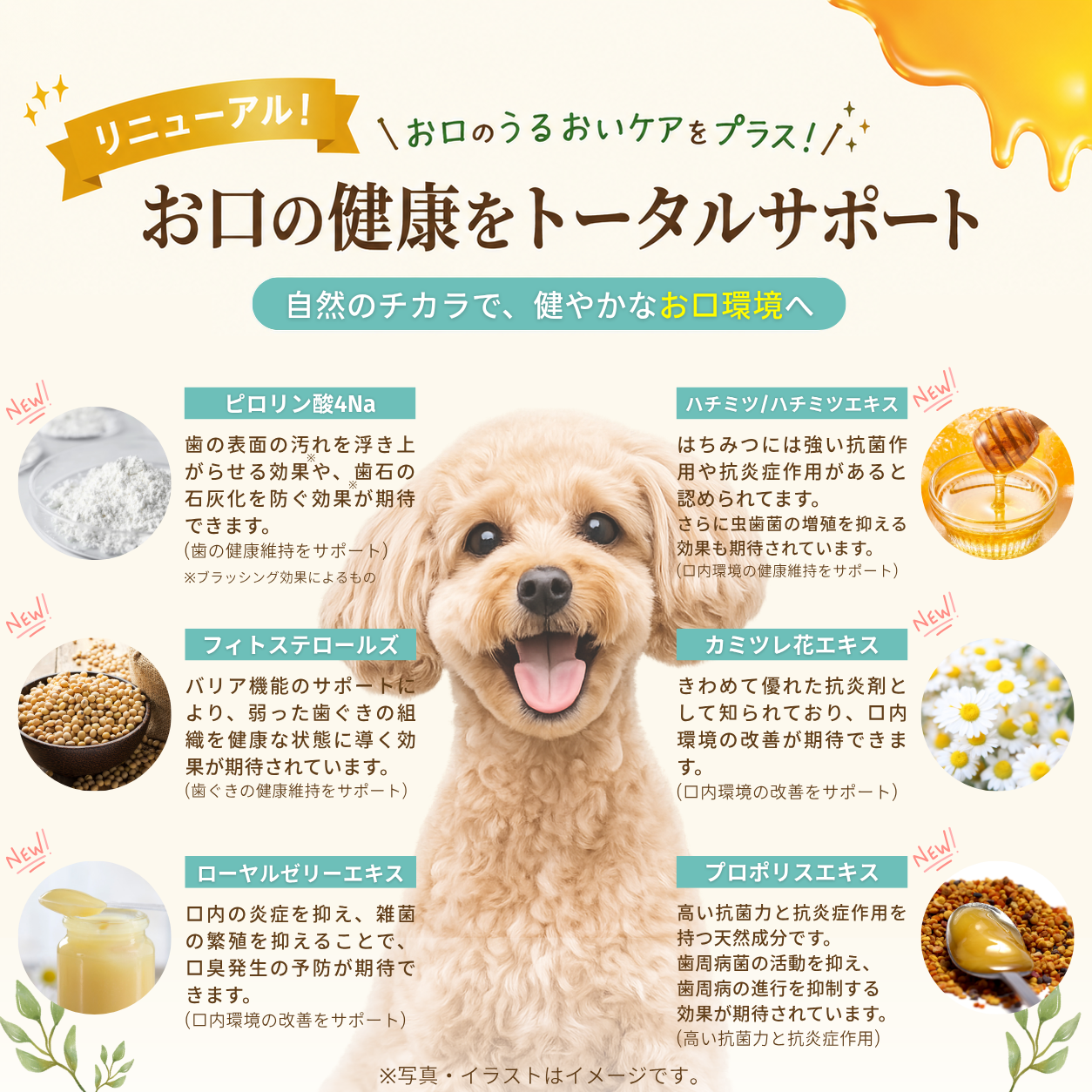 犬 歯磨き ジェル 口臭 歯垢 わんちゃんライフ 無添加 歯磨きペースト